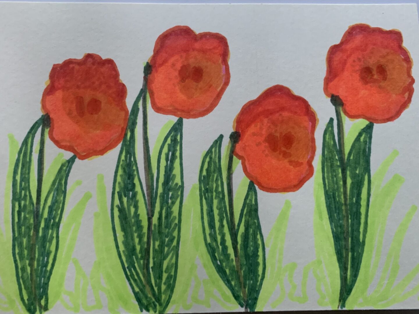 Hand-drawn red poppies with green leaves