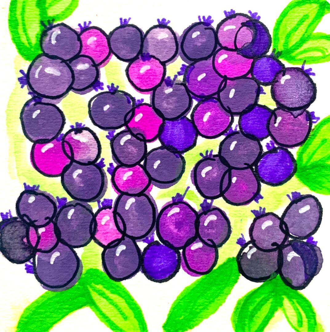 Watercolor illustration of purple berries and green leaves