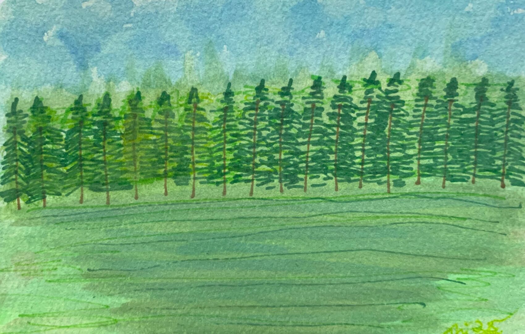 Watercolor pine forest and green meadow